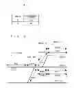 Fig. 03 - Train operation control system