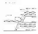 Fig. 17 - Train operation control system