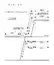 Fig. 20 - Train operation control system
