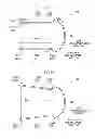 Fig. 07 - Attachment structure
