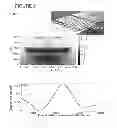 Fig. 03 - Interlaced terahertz transceiver using plasmonic resonance