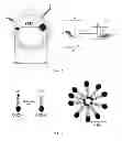 Fig. 02 - Use of luminescent nanosystems for authenticating security documents