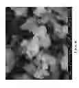 Fig. 07 - Aliphatic amine based nanocarbons for the absorption of carbon dioxide