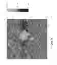 Fig. 08 - Aliphatic amine based nanocarbons for the absorption of carbon dioxide