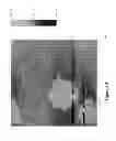 Fig. 09 - Aliphatic amine based nanocarbons for the absorption of carbon dioxide