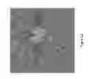 Fig. 11 - Aliphatic amine based nanocarbons for the absorption of carbon dioxide