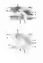 Fig. 02 - Chromic luminescent compositions and textiles