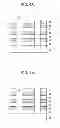 Fig. 04 - VARIABLE RESISTANCE MEMORY DEVICE AND METHOD OF FABRICATING THE SAME