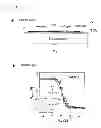 Fig. 02 - NANOTUBE ARRAY ELECTRONIC AND OPTO-ELECTRONIC DEVICES