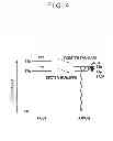 Fig. 05 - ORGANIC ELECTROLUMINESCENCE DEVICE