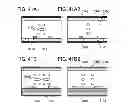 Fig. 42 - Semiconductor device and method for manufacturing the same