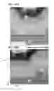 Fig. 25 - Semiconductor device comprising an oxide semiconductor
