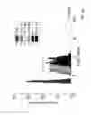 Fig. 28 - DETECTION OF RECOVERED INTEGRATED CIRCUITS