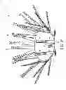 Fig. 17 - Illumination device capable of decreasing shadow of lighting effect