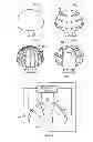 Fig. 03 - Remote phosphor light emitting devices having transparent features