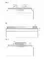 Fig. 03 - LIGHT EMITTING DIODE HAVING ELECTRODE PADS