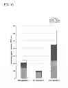 Fig. 19 - SOI substrate and manufacturing method thereof