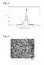 Fig. 04 - Ceramic honeycomb structure and its production method