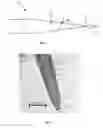 Fig. 02 - Nano-Pipet Fabrication