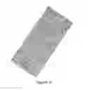 Fig. 04 - Alternative gripping for skateboard
