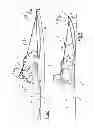 Fig. 02 - Device and assembly for gliding