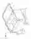 Fig. 02 - Sliding/folding soft top assembly for SUV