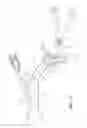 Fig. 13 - Sliding/folding soft top assembly for SUV