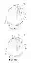 Fig. 08 - Endless track for traction of a vehicle, with enhanced elastomeric material curing capability