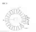 Fig. 06 - Permanent magnet rotor and methods thereof