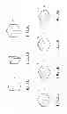 Fig. 05 - Electrical rotor and stator structure