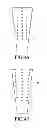 Fig. 06 - Electrical rotor and stator structure