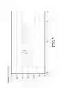 Fig. 12 - Electrical rotor and stator structure