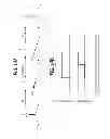 Fig. 16 - Using single continuous pulses for manipulating water and fat signals in magnetic resonance imaging