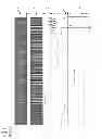 Fig. 02 - Method and magnetic resonance device for image acquisition