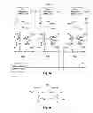 Fig. 06 - OSCILLATOR COMPENSATION CIRCUITS