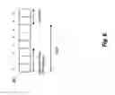 Fig. 09 - Mapping the determined RFID priority level of an RFID first network to a priority level corresponding to a second network to provide quality of service to RFID