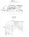 Fig. 02 - Antenna modules for dual interface smart cards, booster antenna configurations, and methods