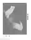 Fig. 09 - Moveable interactive shortcut toolbar and unintentional hit rejecter for touch input devices