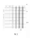 Fig. 04 - CAPACITIVE TOUCH PANEL SENSOR FOR MITIGATING EFFECTS OF A FLOATING CONDITION