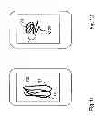 Fig. 08 - METHODS AND PRODUCTS FOR INFLUENCING THE REPRESENTATION OF PICTORIAL INFORMATION BY A DISPLAY DEVICE OF AN INFORMATION TECHNOLOGY APPARATUS