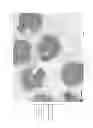 Fig. 02 - DATA VISUALIZATION