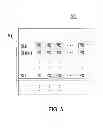 Fig. 06 - Organic light emitting diode (OLED) display device