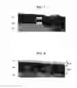 Fig. 07 - Liquid-ejecting head, liquid-ejecting apparatus, and piezoelectric device