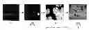 Fig. 01 - PHASE CHANGE INKS COMPRISING FATTY ACIDS