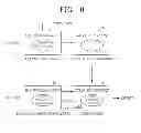Fig. 07 - Surveillance system control method and surveillance system adopting the method