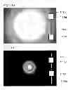 Fig. 11 - Imaging device and imaging method