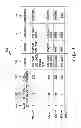Fig. 05 - Relational display of images