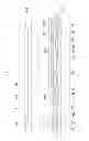 Fig. 05 - Liquid crystal display and manufacturing method thereof