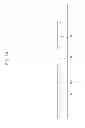 Fig. 17 - Liquid crystal display and manufacturing method thereof