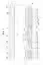 Fig. 41 - Liquid crystal display and manufacturing method thereof
